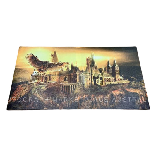 Harry Potter Hogwarts school of magic framed canvas