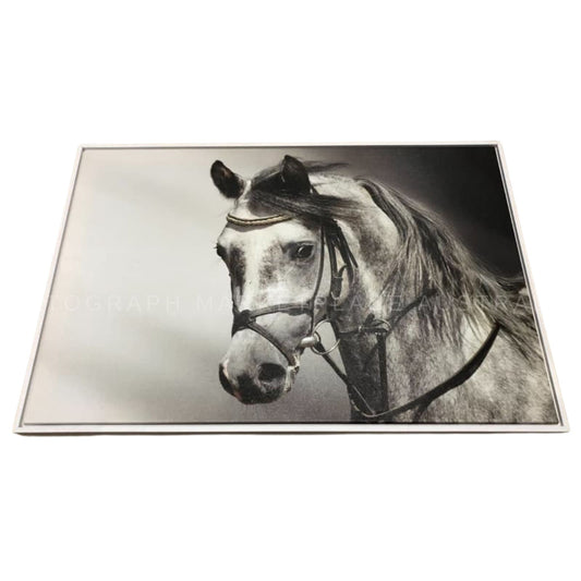 Brand New Horse Framed Canvas with Elegant White Floating Frame