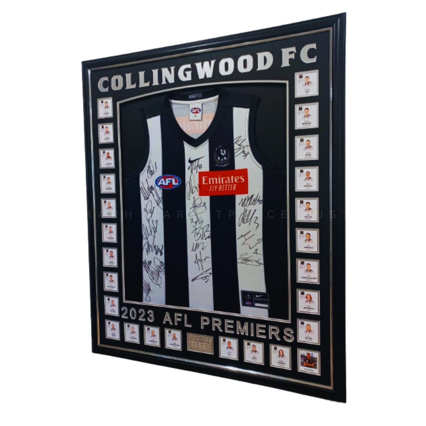 Collingwood Magpies AFL Premiers Framed Memorabilia 