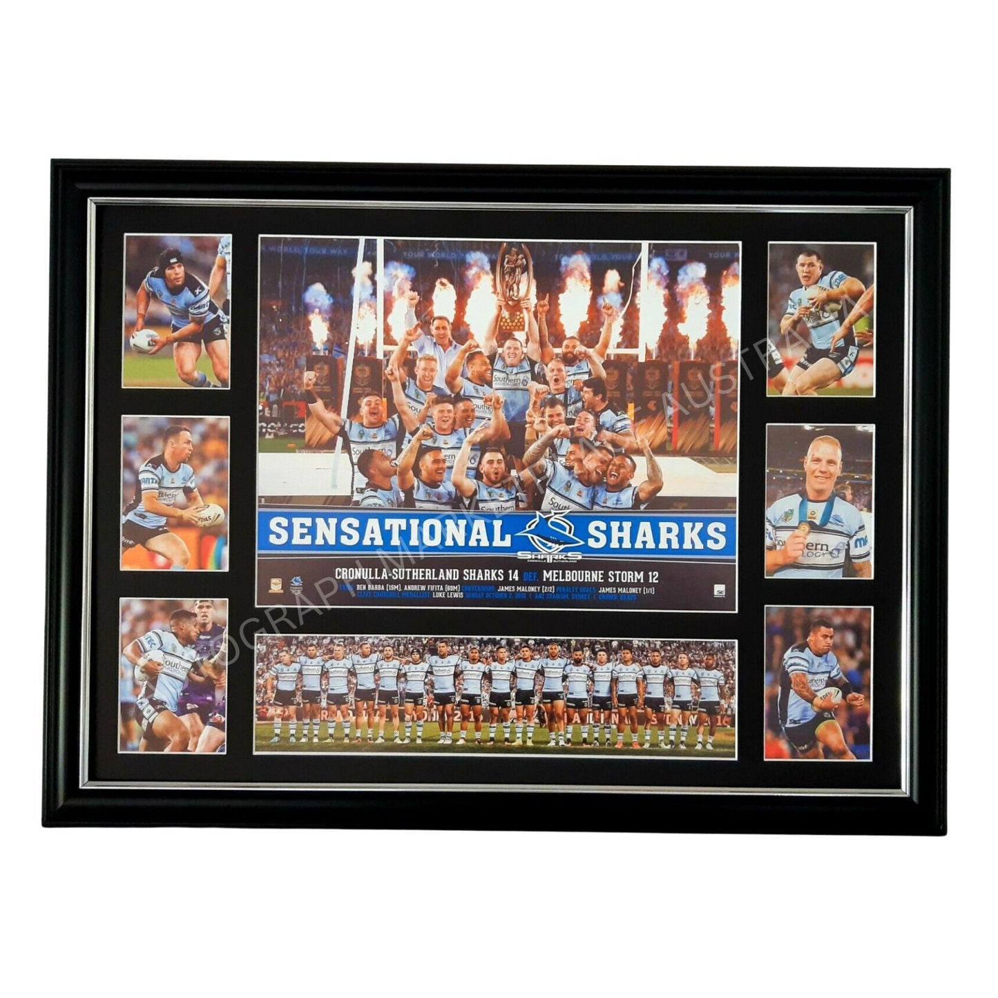 Cronulla Sharks 2016 Premiers Limited Edition NRL Print Framed - Luke Lewis & Gallen Collectible