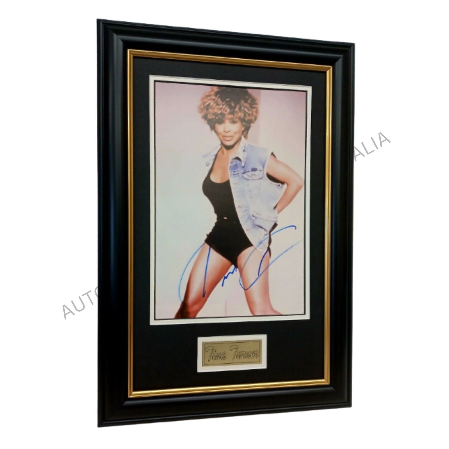 Tina Turner Music Signed Framed Memorabilia Simply The Best