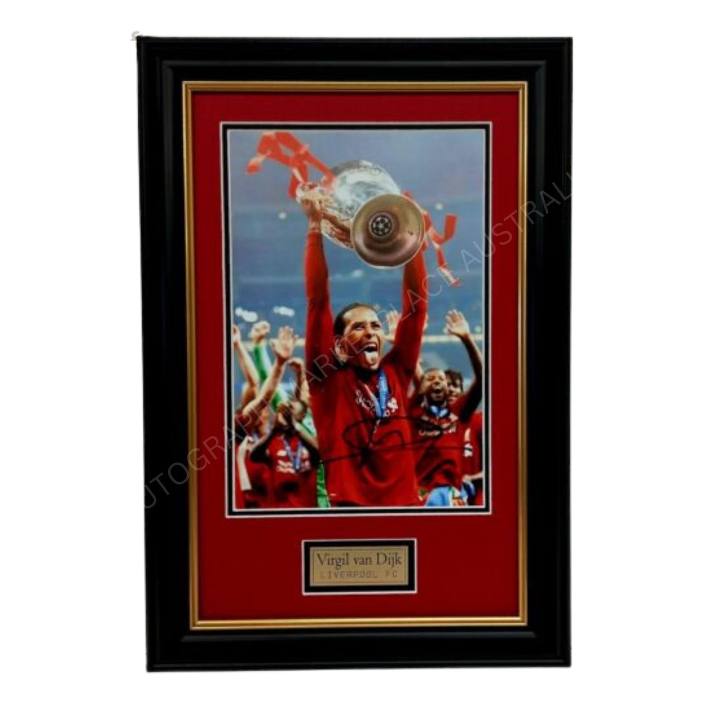 Virgil van Dijk Signed Framed Liverpool FC UEFA CHAMPIONS LEAGUE 2019